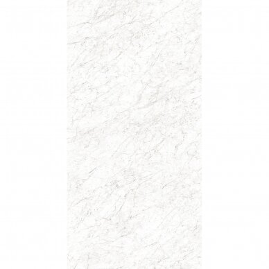 20mm storio plytelė Carrara Tradizionale 160x320