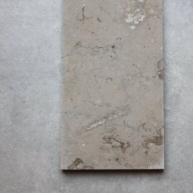 Natūralus akmuo Taupe Granite 20x100 1