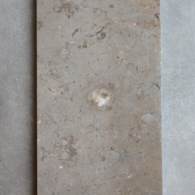 Natūralus akmuo Taupe Granite 20x100 2