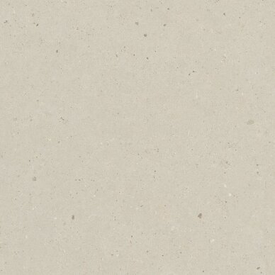 20,16 m2 - Plytelės Silver Grain Beige 60x60